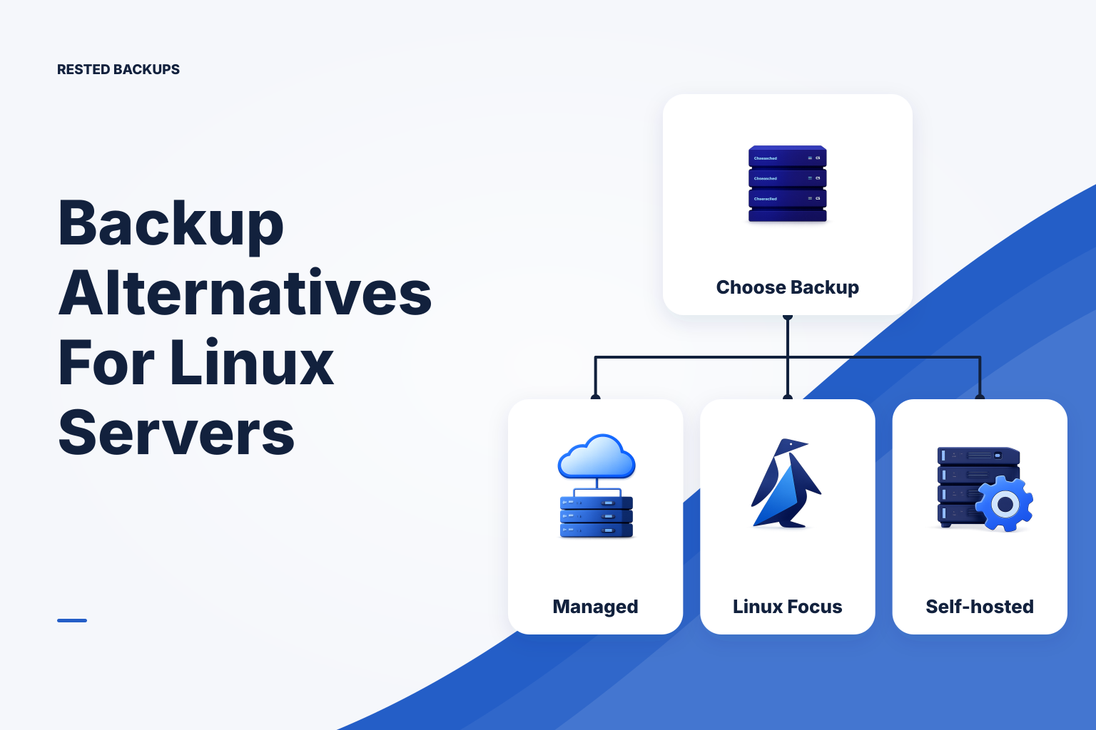 An operator comparing managed, Linux-focused, self-hosted, and command-line backup operating models.